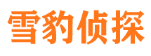 神池市私家侦探